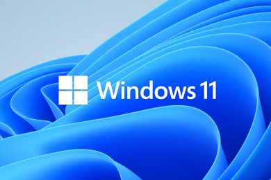 Windows 11 Preview Build