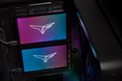 Review T-Force Delta Max SSD